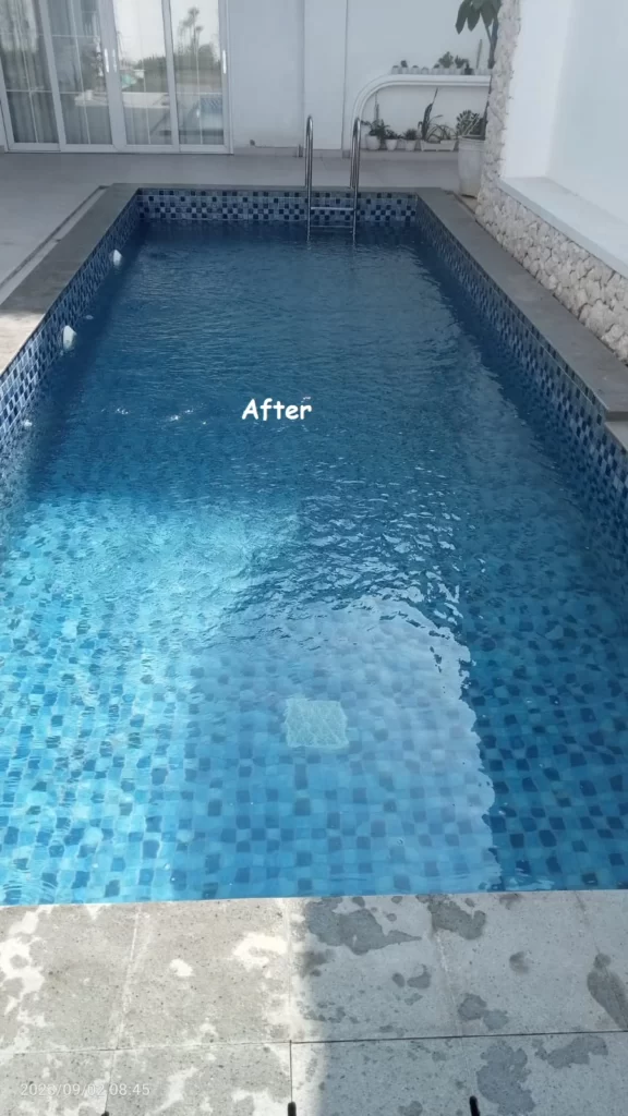 mengatasi kolam renang berlumut